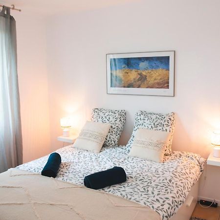 Le Cocon Cosy - T2 - Parking - Proche Zoo Apartment La Salvetat Exterior photo